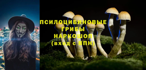 mdma Новозыбков