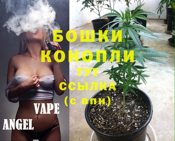mdma Новозыбков