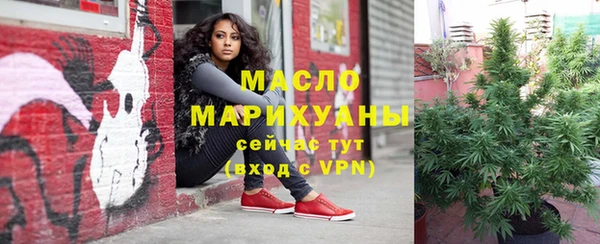 гидропоника Няндома