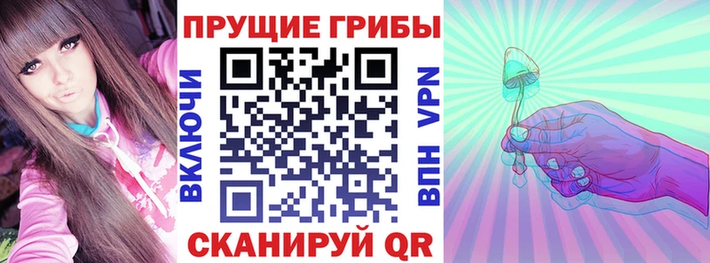 Галлюциногенные грибы Psilocybine cubensis Тбилисская